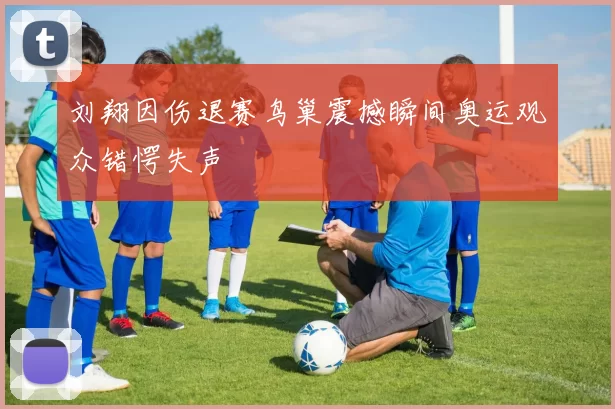 刘翔因伤退赛鸟巢震撼瞬间奥运观众错愕失声