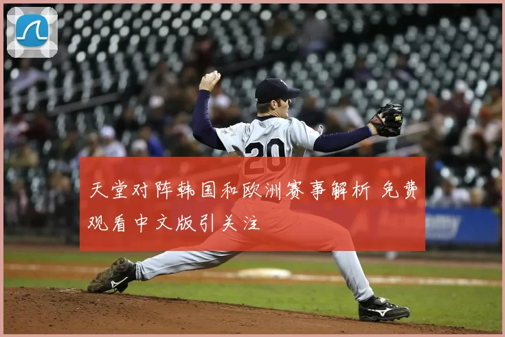 天堂对阵韩国和欧洲赛事解析 免费观看中文版引关注
